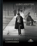 Lubo Kristek Genius Loci Cobwebbed