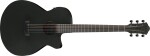 Ibanez AEG621-BOT