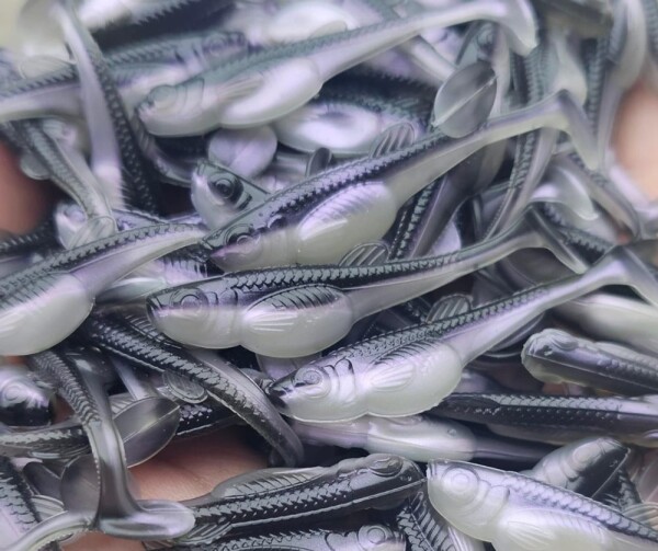 Libra Lures Gumová nástraha Embrion Shad 2″ 10ks - Violet Shine 120,Libra Lures Gumová nástraha Embrion Shad 2″ 10ks - Violet Shine 120