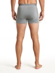 Pánské merino boxerky ICEBREAKER Mens 125 ZoneKnit Boxers, Alloy velikost: S
