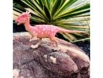 Safari Ltd. Safari Ltd. Figurka - Stygimoloch