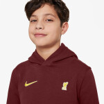 Nike Liverpool FC NSW Club PO Hoodie Jr FZ4149-619