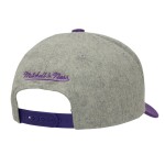 Mitchell & Ness Pánská kšiltovka Toronto Raptors NBA Tailsweeps Pro Snapback