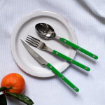 SABRE PARIS 4-dílná sada příborů Bistrot Brillant – Garden Green, zelená barva, kov