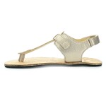 Koel Abriana Champagne