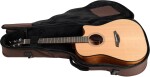 Furch Blue Plus Dc-CM CNR Active 2026