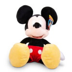 Disney Mickey