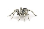 Tarantule