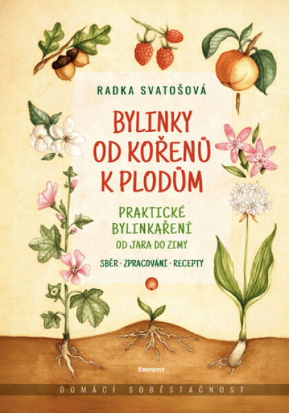 Bylinky od kořenů k plodům - Praktické bylinkaření od jara do zimy - Radka Svatošová