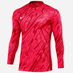 Nike Gardien Goalkeeper DF FD7474-644