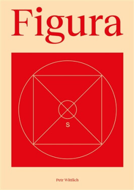 Figura - Petr Wittlich