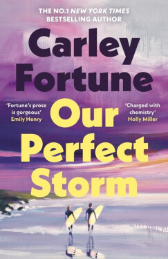 Our Perfect Storm - Carley Fortune