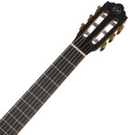Tanglewood EMDC7