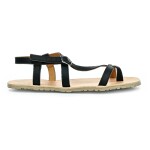 Froddo G3150269-1 Black AD