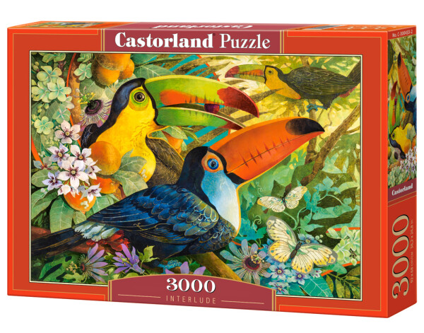 Castorland Puzzle Tukani 3000 dílkú