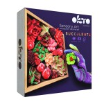 OKTO – Výtvarná modelovací sada „Sukulenty“ v dřevěném rámu (21 × 21 cm)