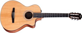 Taylor 112ce-N