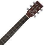 Tanglewood TC5CE