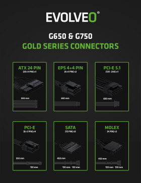 EVOLVEO G650, zdroj 650W, 80+ GOLD, ATX 3.1, aPFC, 140 mm ventilátor, plně modulární, záruka 3 roky, černý