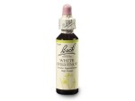 Kaštan bílý (White Chestnut) 20 ml- Bachovy esence Dr.Bach