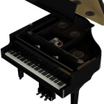 Roland GP-9M PE