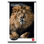 Školní sešit Pigna Animal A4, linkovaný, 40 listů, mix motivů