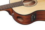 Ibanez AAM100E Natural