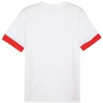 Puma teamGoal Matchday Jersey M 705747 11 pánské m
