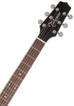 Takamine EF341SC