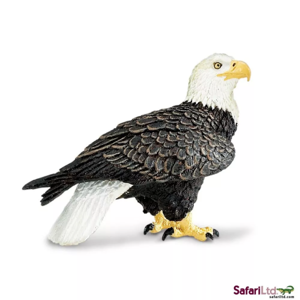 Safari Ltd. Safari Ltd. Orel bělohlavý
