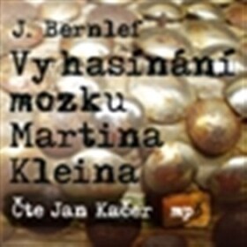 Vyhasínání mozku Martina Kleina Bernlef