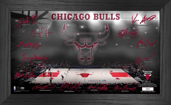 Highland Mint Obraz Chicago Bulls NBA Signature Court 2022