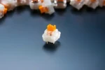 Razer Orange Switch Set / Mechanické spínače / 36 ks / oranžové, transparentní / pro klávesnice (RC21-02040300-R3M1)