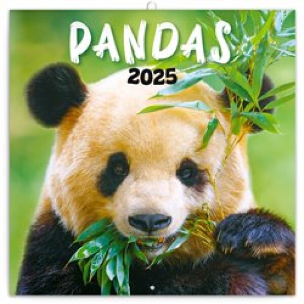 Poznámkový kalendář 2025 Pandy,