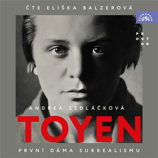 Toyen - Andrea Sedláčková - audiokniha