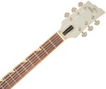 Duesenberg Falken Silver Tremolo