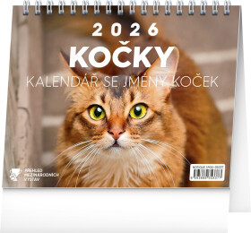 Kalendář 2026 stolní: Kočky - se jmény koček, 16,5 x 13 cm