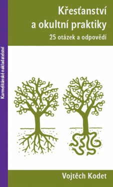 Křesťanství a okultní praktiky - 25 otázek a odpovědí - Vojtěch Kodet