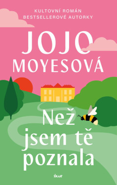 Než jsem tě poznala - Jojo Moyes