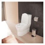 HANSGROHE - EluPura Original S WC kombi se sedátkem SoftClose, vario odpad, AquaChannel Flush, Rimless, bílá 60346450