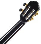 Ortega RUOX-CC