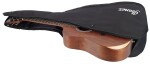 Ibanez AW54JR Natural