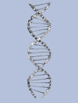 Bavlněné triko CYCOLOGY DNA, light blue, pánské, krátký rukáv (Motiv DNA, velikost S)