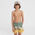 Plavecké šortky O'Neill Mix&Match Cali Block 13'' Jr 92800613806