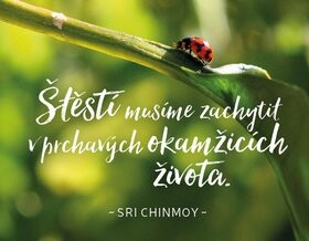 Štěstí musíme zachytit v prchavých okamžicích života - Sri Chinmoy