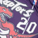Mitchell & Ness Pánský dres Toronto Raptors NBA Damon Stoudamire #20 1995-96 Swingman Velikost: 2XL