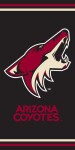 Osuška NHL Arizona Coyotes
