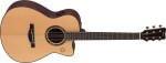 Yamaha TAS 3C Natural