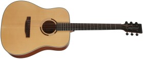 Tanglewood TS5 (rozbalené)