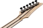 Ibanez RGR5121RB-GRF